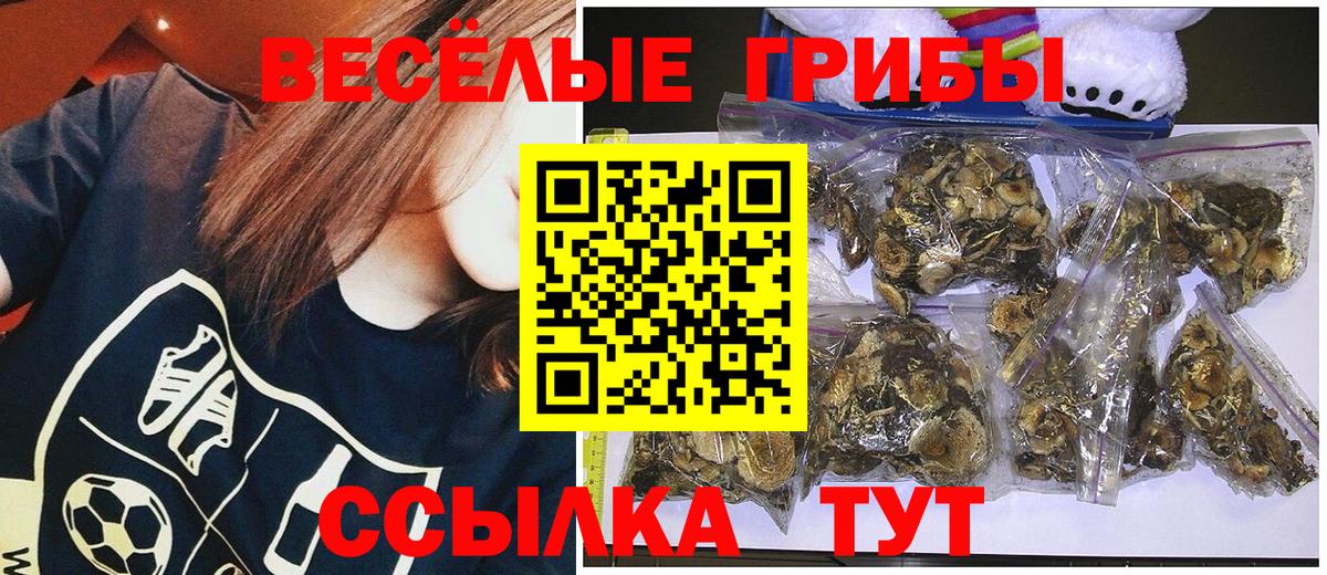 Галлюциногенные грибы прущие грибы Донской