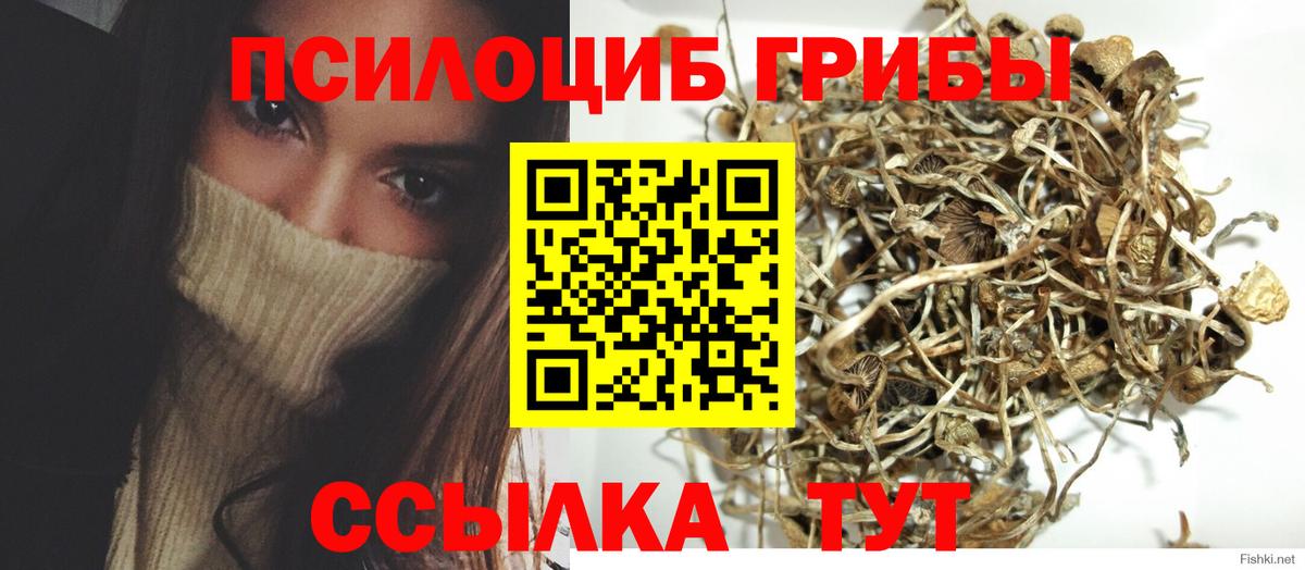Псилоцибиновые грибы мухоморы  Вход с VPN  Донской 
